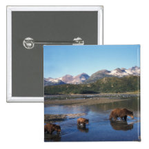Brown bear, grizzly bear, sow and cubs in pinback buttons