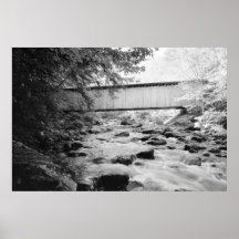 Brown Bridge Print