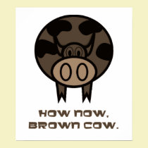 Brown Cow Poster posters