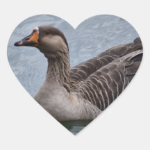 Brown Feathered Goose Stickers