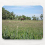 Brown Horse Mousepad