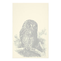 Brown Owl Sleeping Stationery