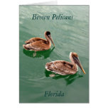 Brown Pelicans Card