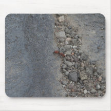 Brown Queen Ant On The Rocks Mousepads