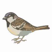 brown sparrow cut outs