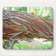 Brown Stringybark branch Mouse Pad