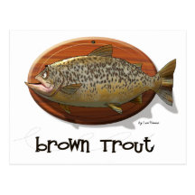Brown Trout Postcards