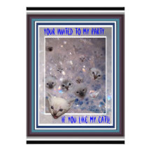 Bubble Kittens Invitation
