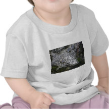 Bubbles T-shirt