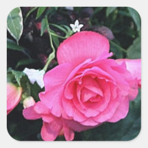 Buchart Gardens Flower Sticker