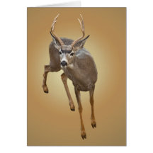 BUCK STOPS HERE GREETING CARDS