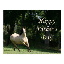 Buckskin horse Father's Day postcard