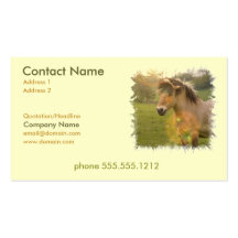 Buckskin Pony Busines Card Business Cards
