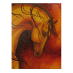 Buckskin Postcards
