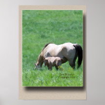 Buckskin Quarter horse Mare and Foal Poster