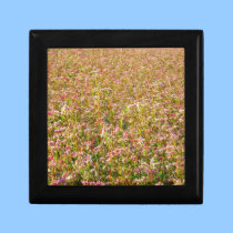Buckwheat gift boxes