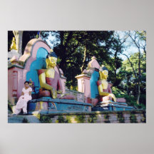 Buddha's Pink Lady, Swambunath Print