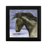 Buddy of Sand Wash Basin HMA Keepsake Box