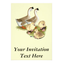 Buff African Goose Family Custom Announcement