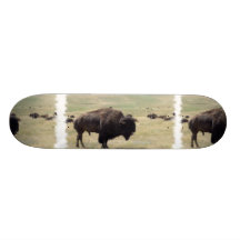 Buffalo Hunts Skateboard