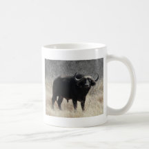 Buffalo In South Africa Coffee Mug