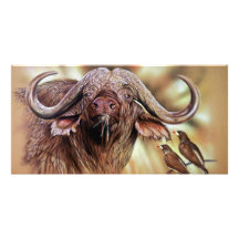 Buffalo & Oxpecker Prints Photocards Custom Photo Card