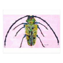 Bug  011 postcards