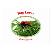 Bug Lover Red Velvet Ant Business Card Templates