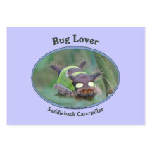 Bug Lover Saddleback Caterpillar Business Card Templates
