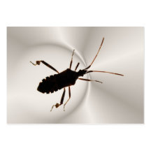 Bug Silhouette 2 ~ ATC Business Card Templates