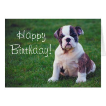 Bull Dog Puppy  Greeting card