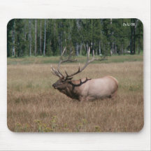 Bull Elk, Julz 08 Mouse Mats