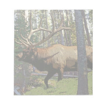 Bull elk memo notepad