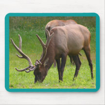 Bull Elk Mouse Mat