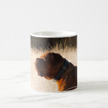 Bull Mastiff Mug