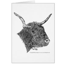 Bull with Horns Pen & Ink Drawing Card
