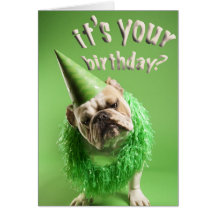 bulldog birthday card