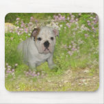 Bulldog Mousepad
