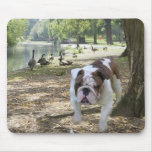 Bulldog Mousepad In Park