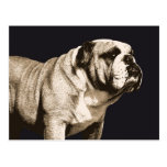 Bulldog Spirit Postcards