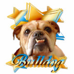 Bulldog star photo sculpture key chain