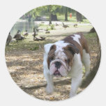 Bulldog Sticker