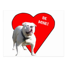 Bulldog Valentine Post Cards