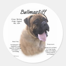 Bullmastiff (fawn) History Design Round Stickers