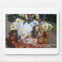 Bully Dasies! Mouse Pad