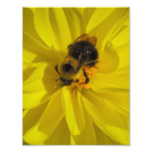 Bumblebee Art Photo
