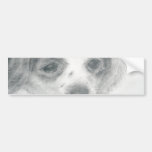 Bumper Sticker - Puppy Lookin At You