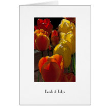 Bunch of Tulips Cards