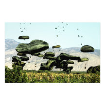 Bundles of food and water are air delivered photograph