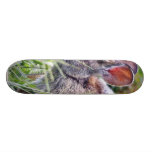 Bunny Bunnies Rabbits Skateboard Deck
